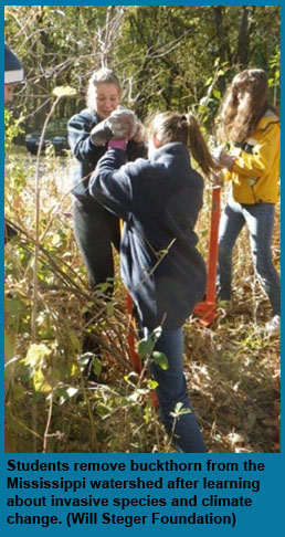 Students remove invasive species